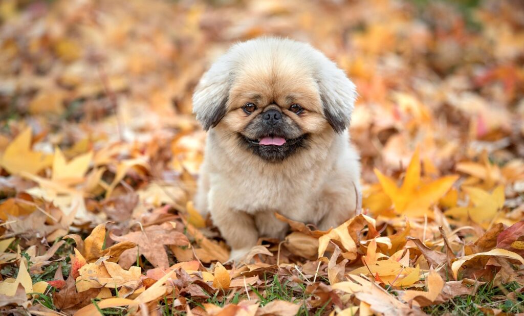 フェムケアに参加するメリットとコミュニティの活用法は？