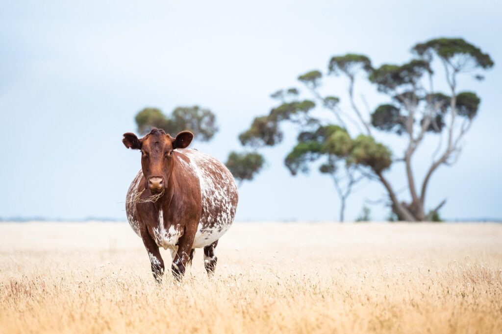 尿漏れと妊娠の関係について知っておくべきことは？
