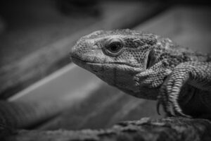 咳をすると尿もれが気になる方への効果的な対策は？