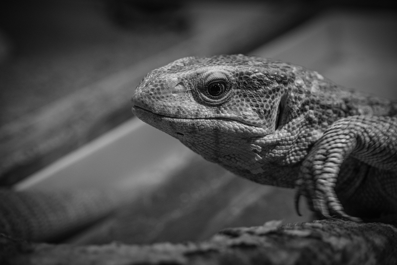 咳をすると尿もれが気になる方への効果的な対策は？