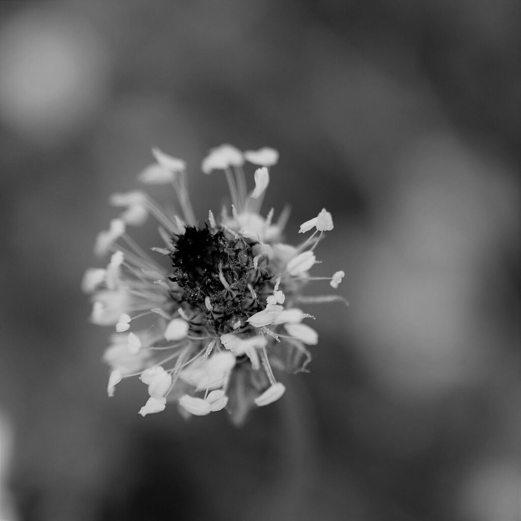 咳をすると尿もれの対策にはどんな方法がある？