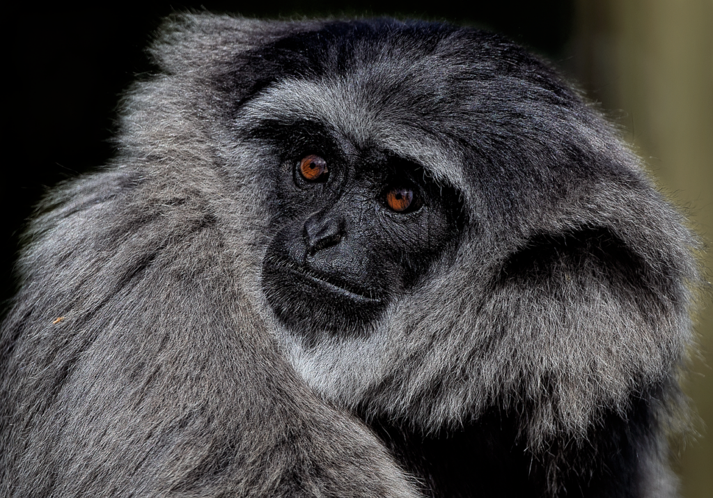 尿もれを日中のみ改善するための対策は？