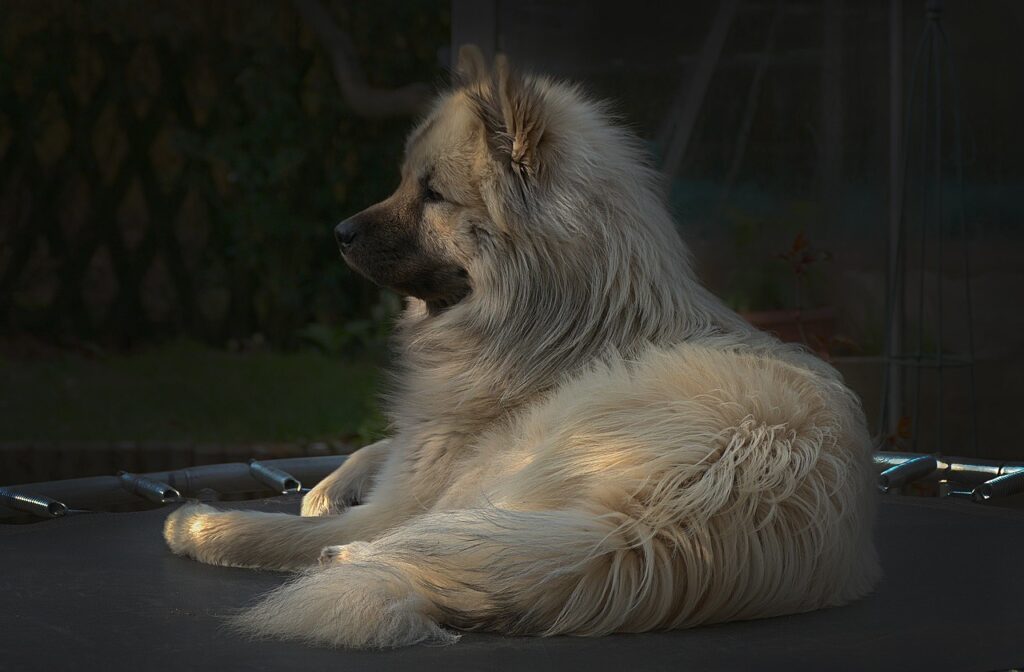 トランポリンを使った尿もれ予防の効果とは？