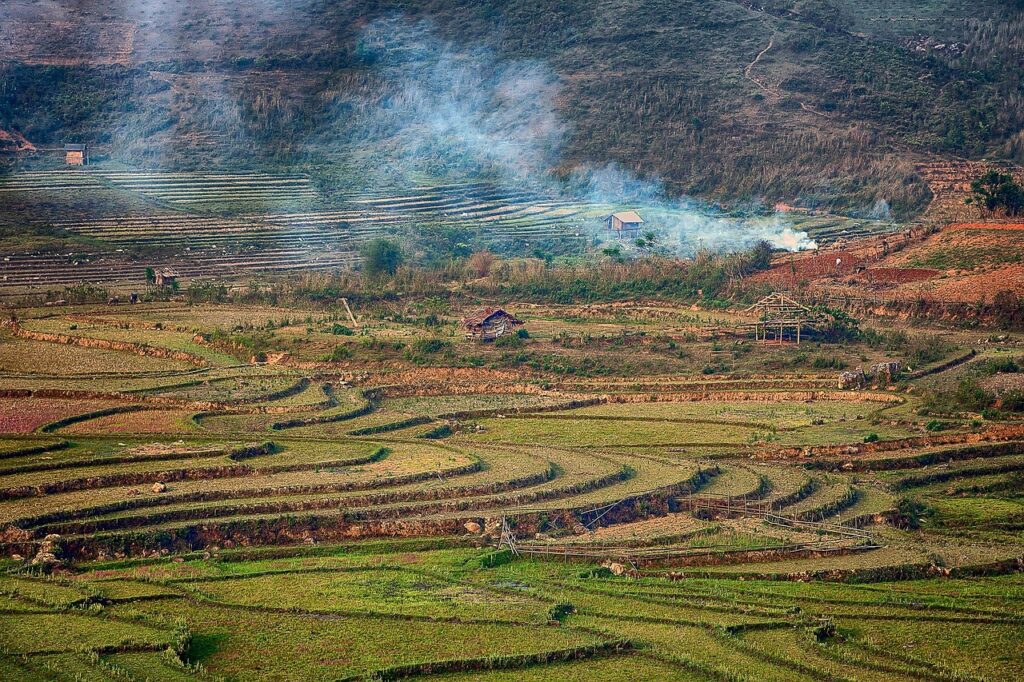 PMSによる尿もれの原因は何ですか？