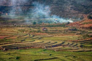 PMSによる尿もれの原因は何ですか？