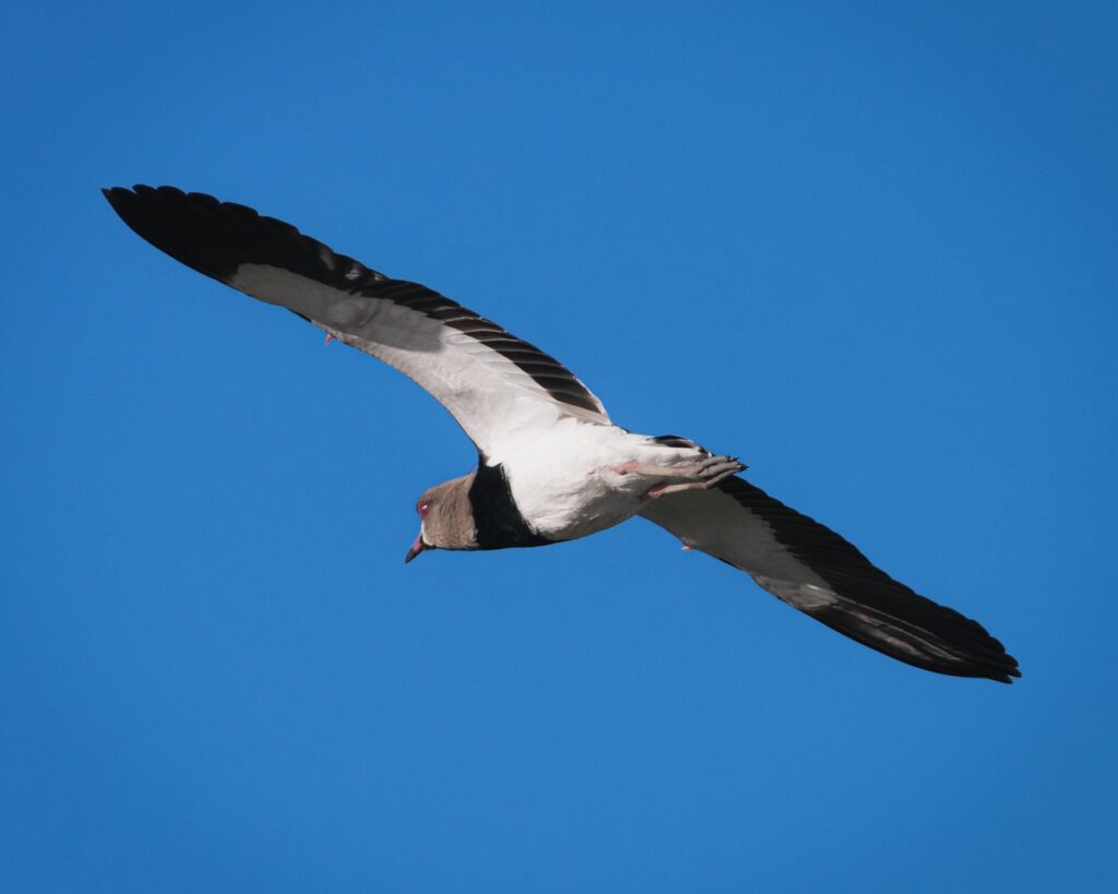 子宮脱と尿漏れを改善するための効果的な方法は？