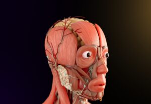 神経因性膀胱による排尿障害の原因と対策は？