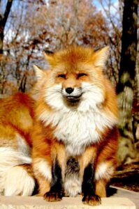 40代で尿もれの悩みを解消するためには病院の何科を受診すればいい？