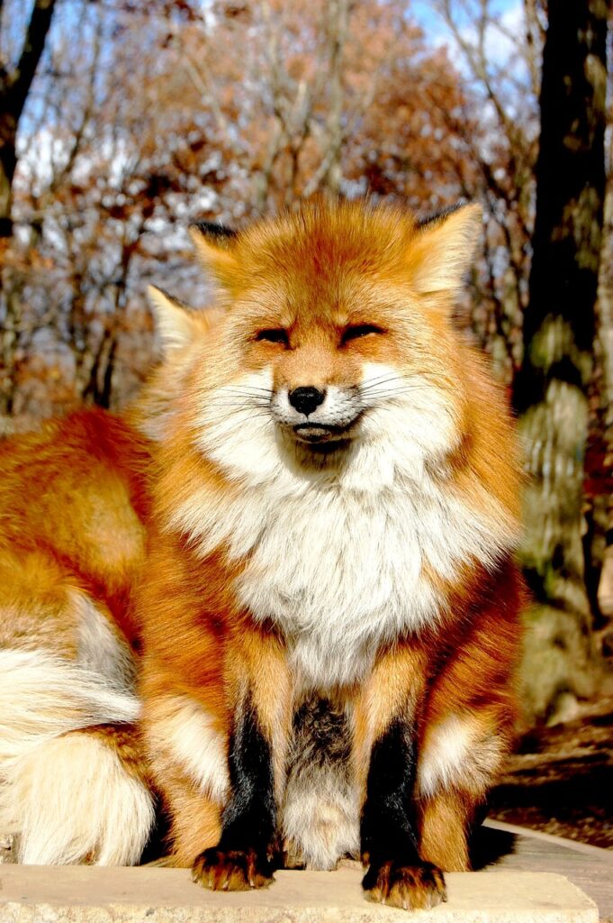 40代で尿もれの悩みを解消するためには病院の何科を受診すればいい？