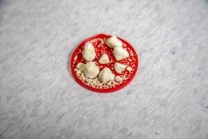 40代の尿もれ対策におすすめのグッズは？